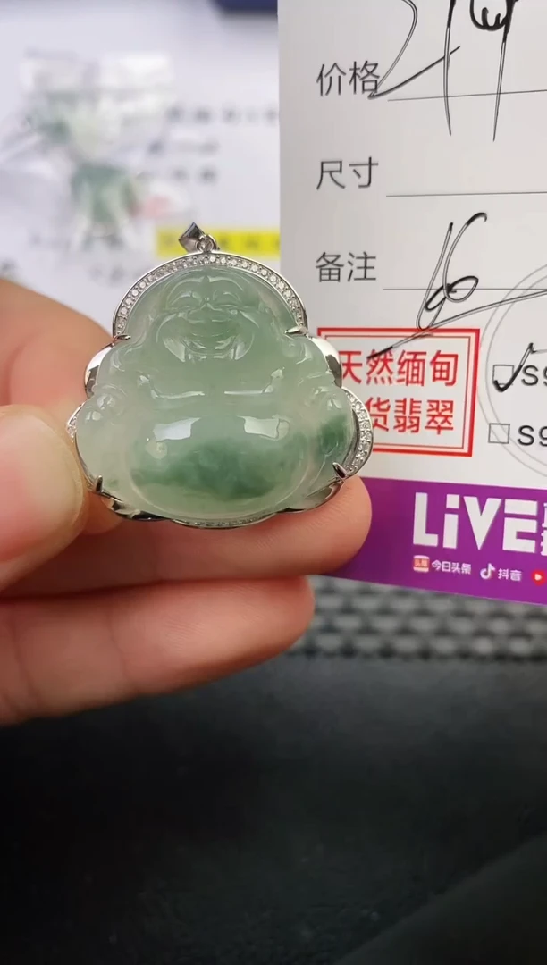 颈饰银S925镶嵌翡翠飞*挂件