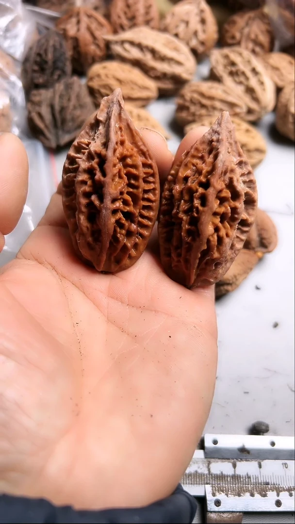 核桃东北野生大秋子4