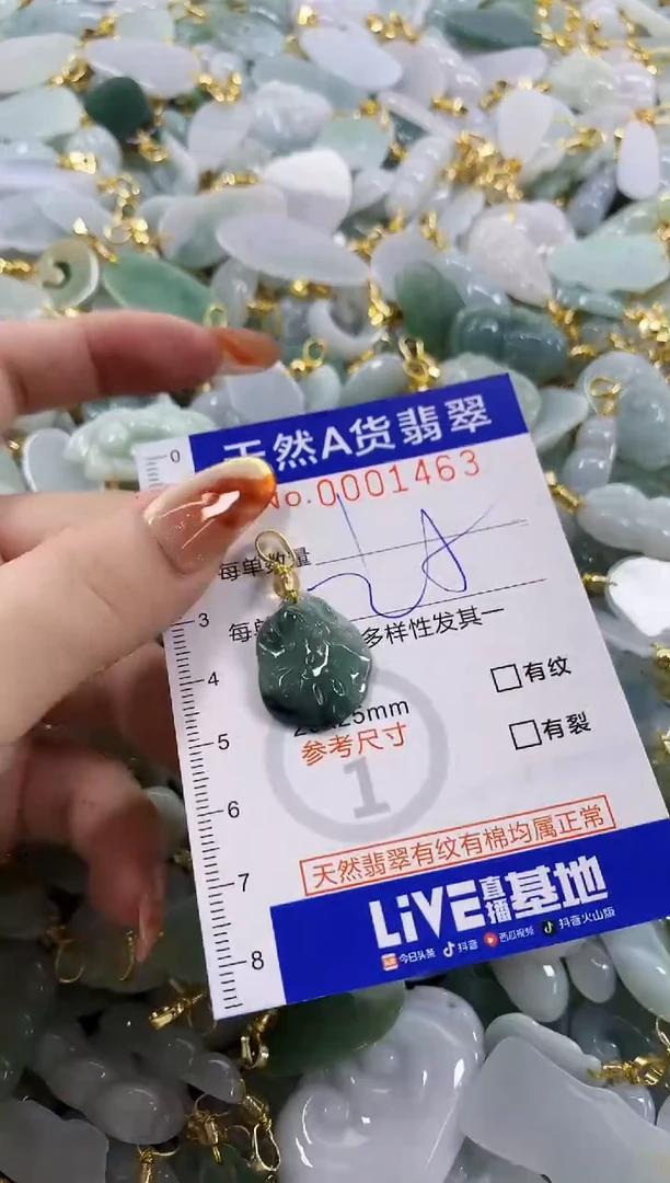 颈饰未镶嵌翡翠天然A货翡翠