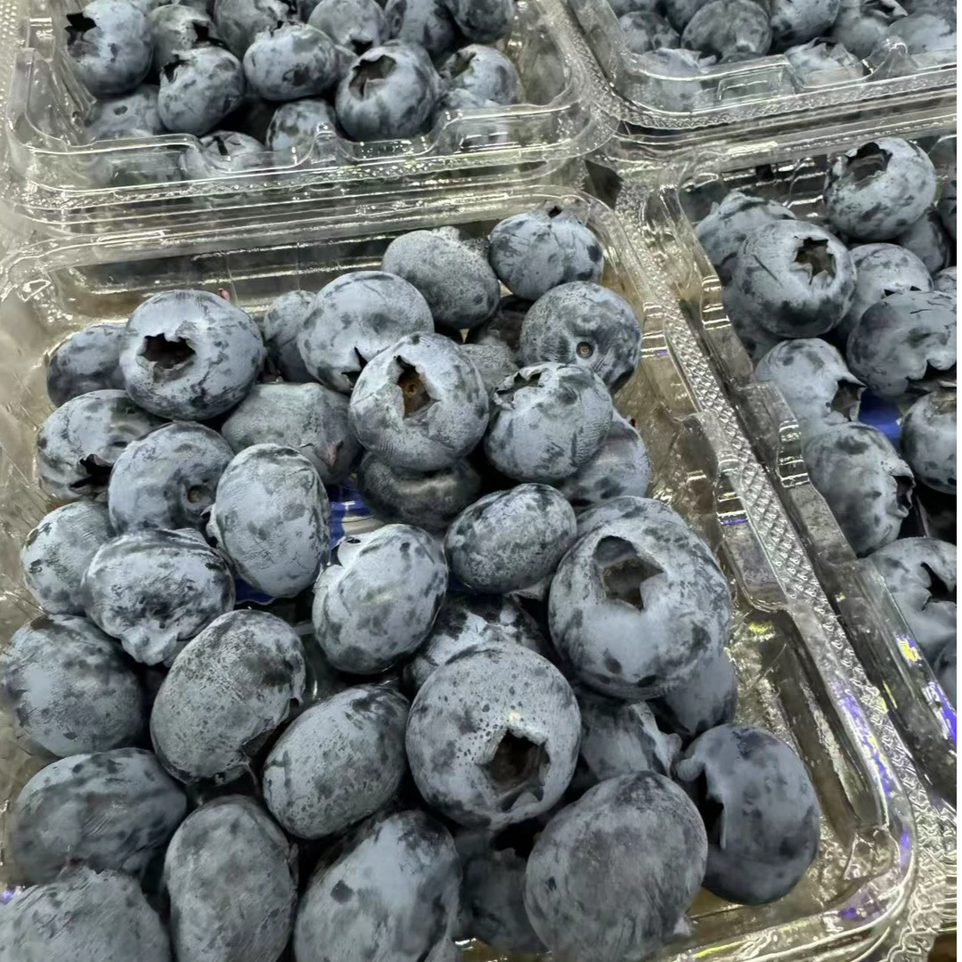 【4月开门红】15+云南高山蓝莓大果蓝莓脆甜新鲜花青素125g/盒