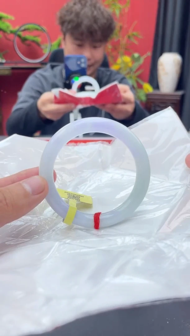 未镶嵌手镯翡翠11