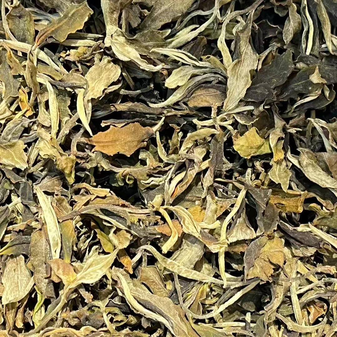 2025年 大雪山春茶白茶 散茶