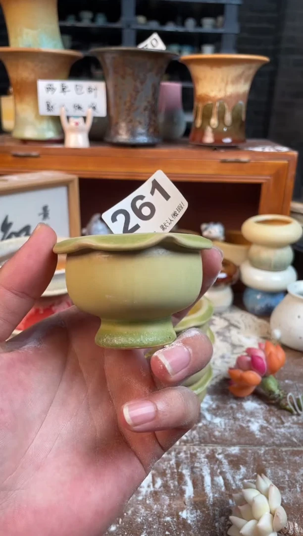 瓷片微瑕261小芳花盆编号