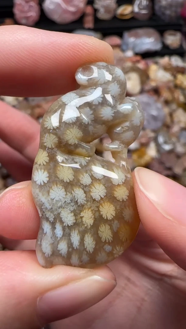 颈饰未镶嵌硅化珊瑚（珊瑚玉）392