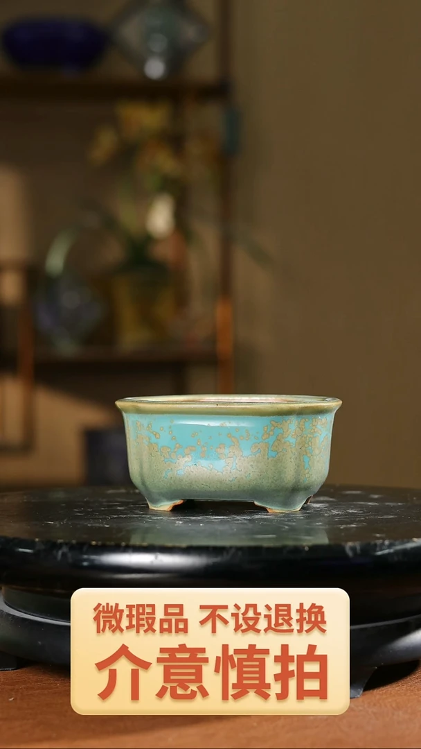 掌中宝 465