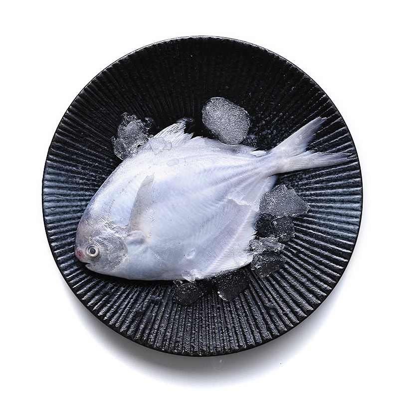 【丽莉海鲜】银鲳鱼 新鲜速冻深海平鱼扁鱼白鲳鱼400g*4包
