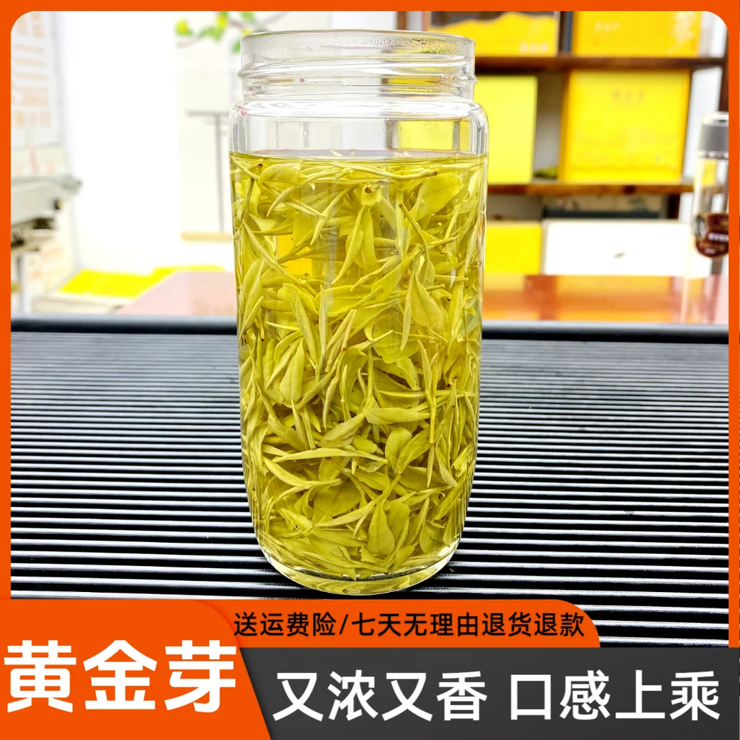 黄金芽老品种2025年浓香耐泡安吉果香原料绿茶散装茶叶H168