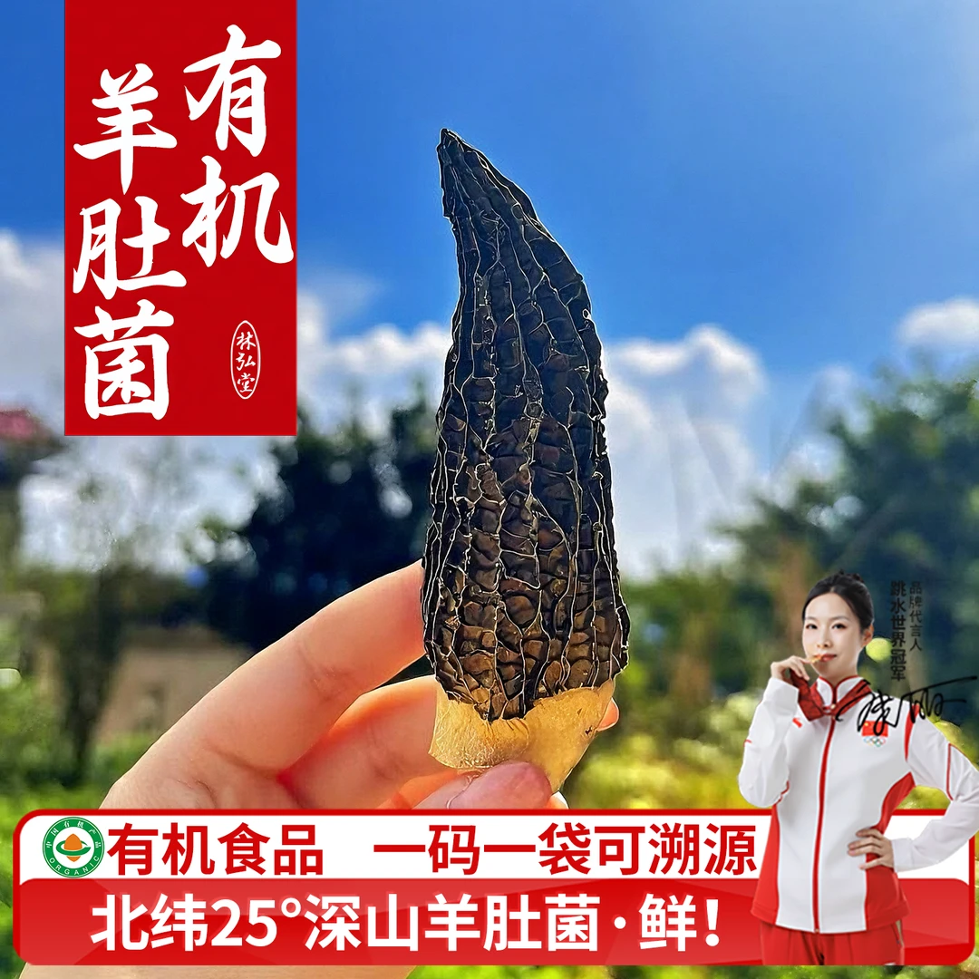 云南有机羊肚菌干货官方旗舰店新鲜有机认证优质野外生