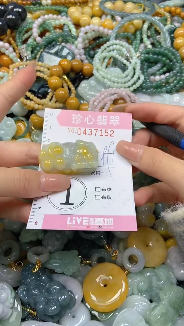 颈饰未镶嵌翡翠闪购0437152