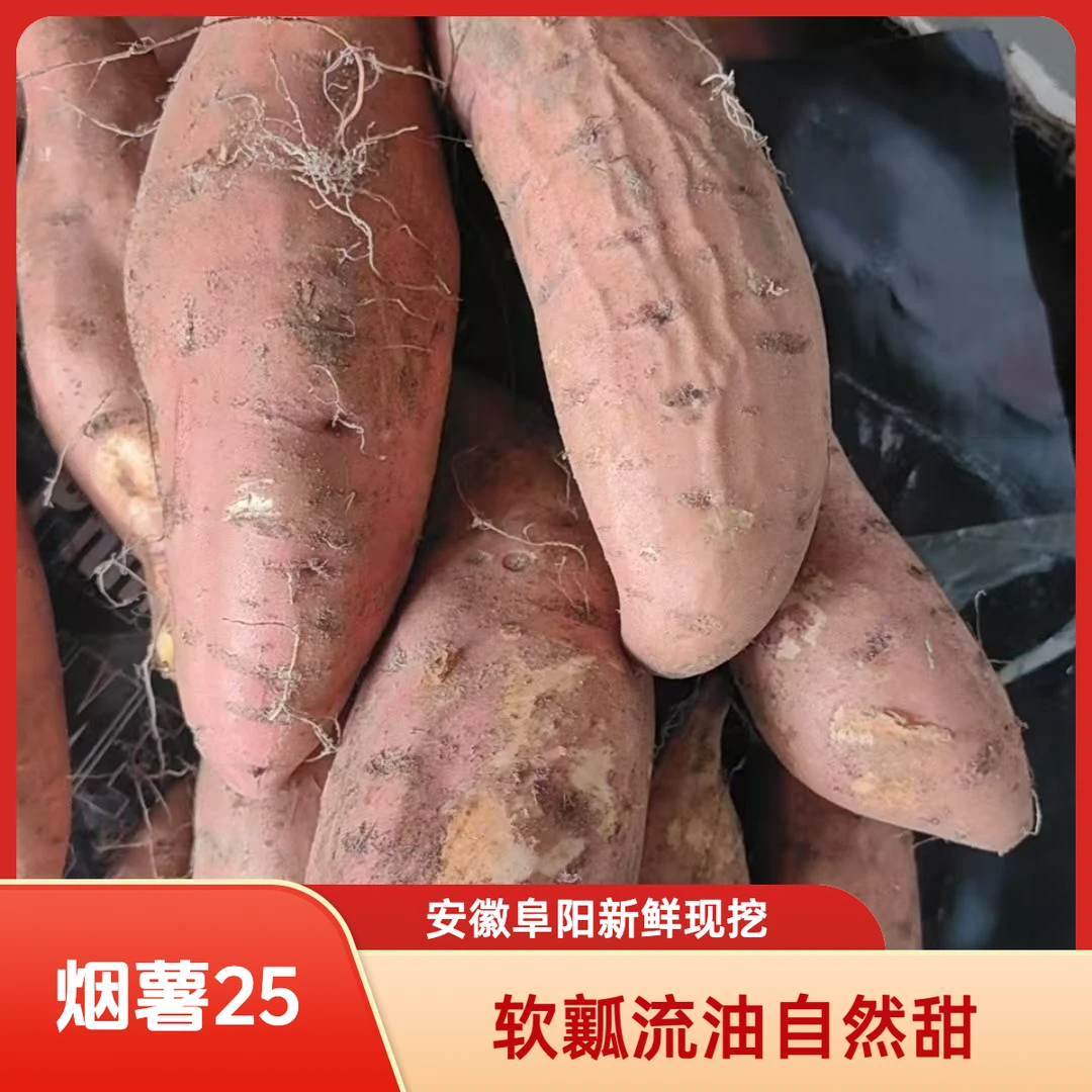 正宗烟薯25号红薯新鲜现挖粉糯香甜的烤地瓜心糖稀软瓤流油番薯