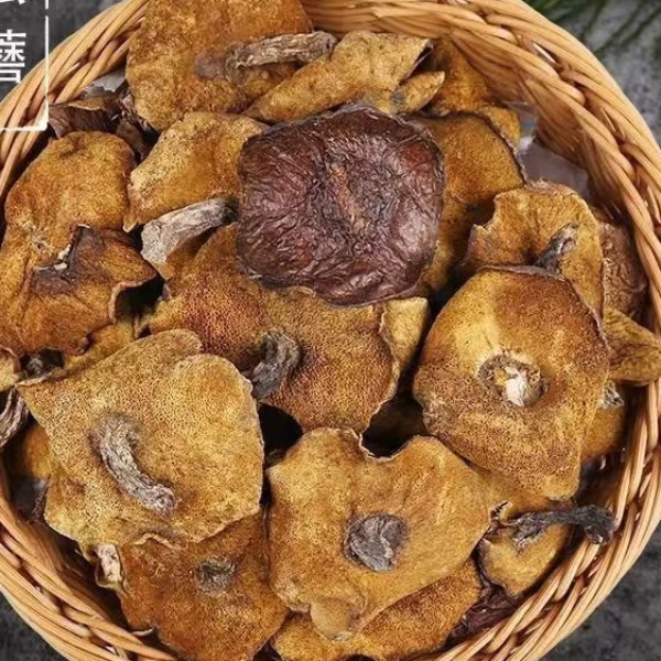 干货精选野生松菇