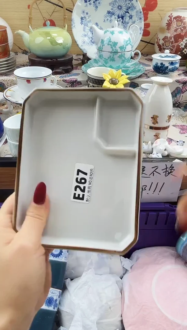 在****٭==============e267