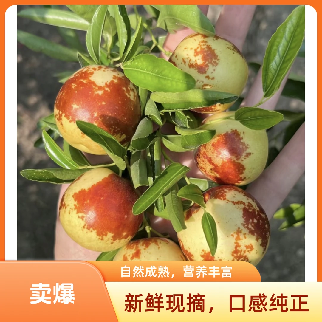 大荔冬枣约500g