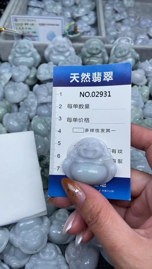 颈饰未镶嵌翡翠纯天然A货翡翠2931