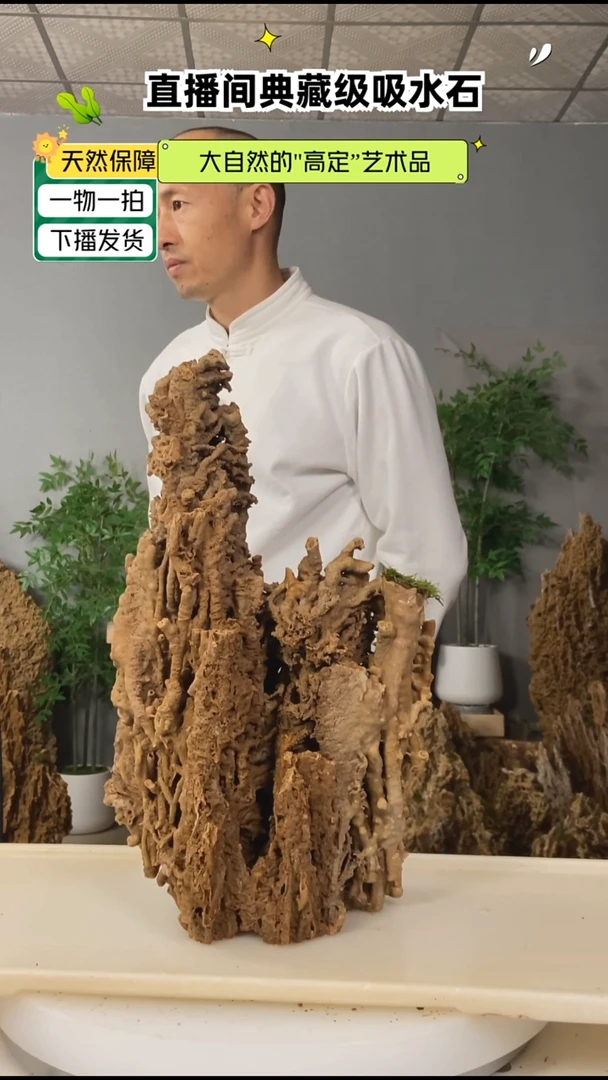 无花朵马*吸水石11111