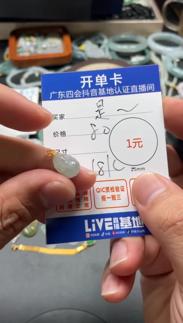 颈饰未镶嵌翡翠是***呀挂件