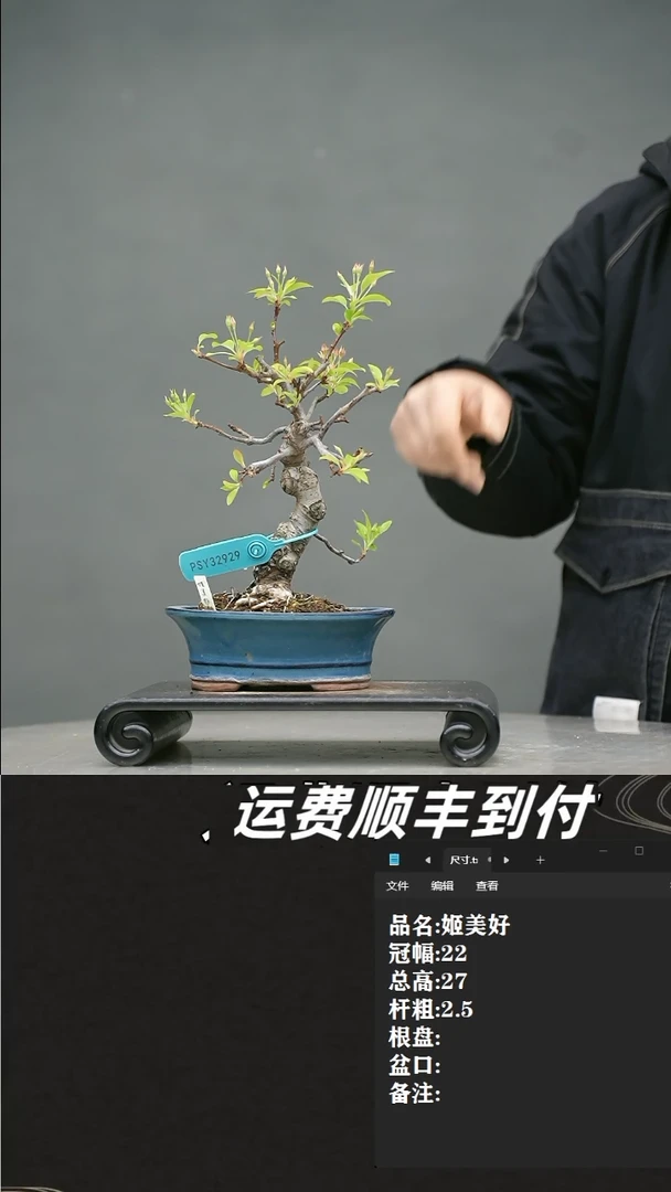 【闪购商品】19 姬美好