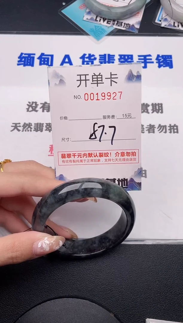 未镶嵌手镯翡翠27