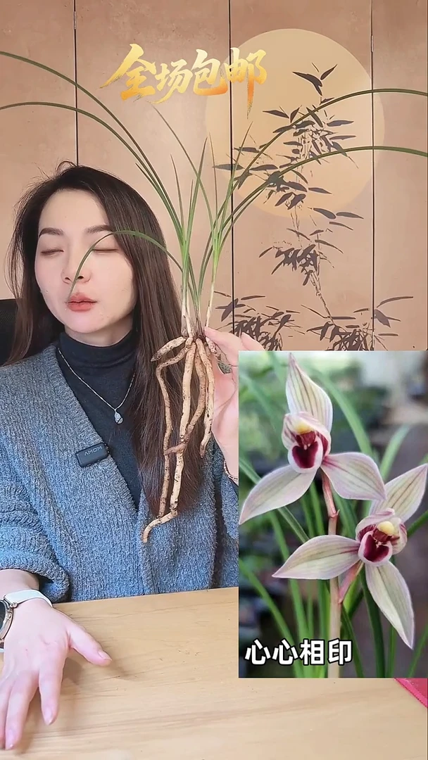 当前无花栽培后可以开花快**人：心心相印