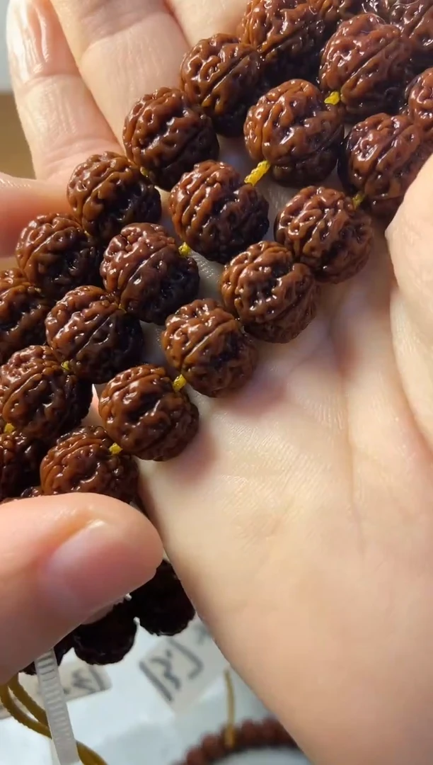 手串金刚菩提凹底13