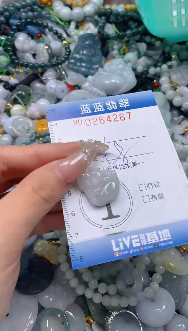 翡翠未镶嵌颈饰闪购0264267多样性发其一