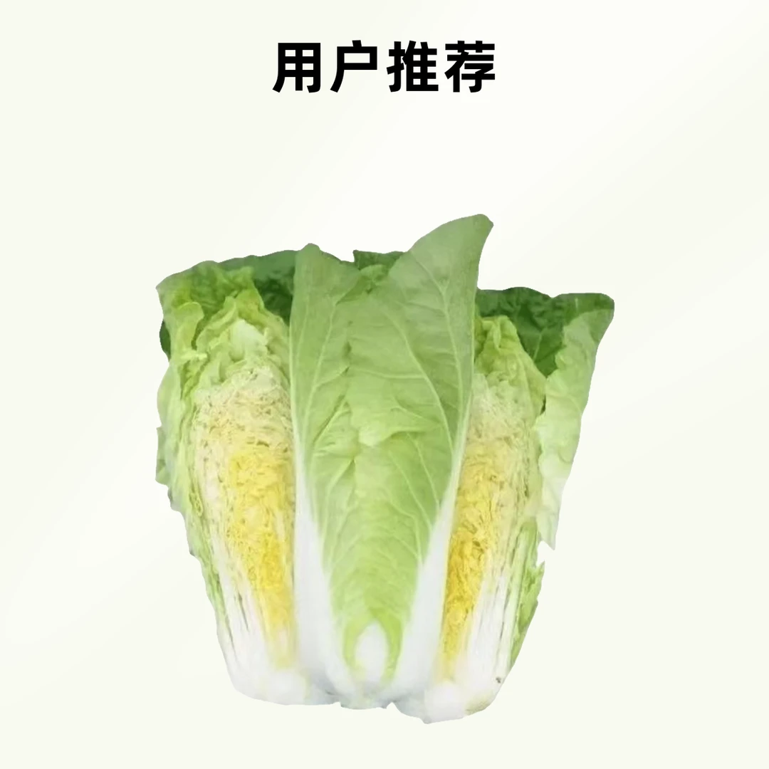 黄白菜 约(500g)
