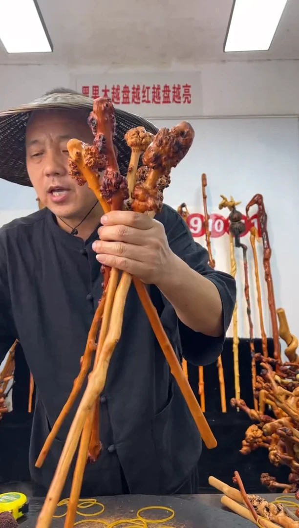 黑果木其他黑果木508
