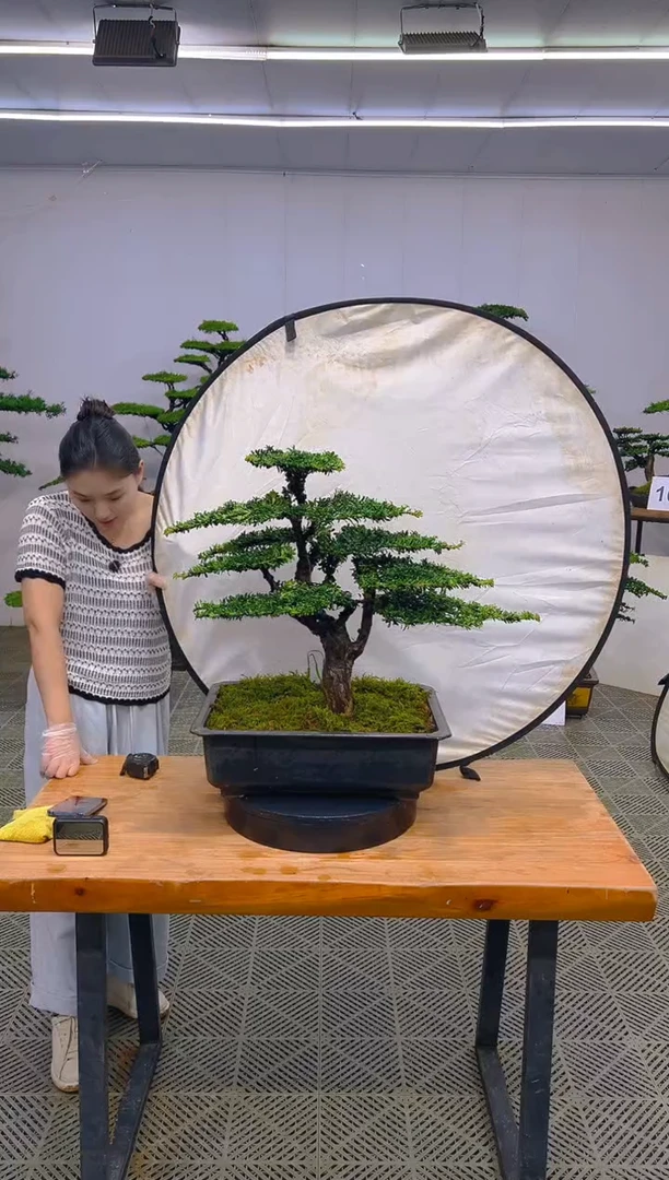 无花朵一物一拍一物一拍