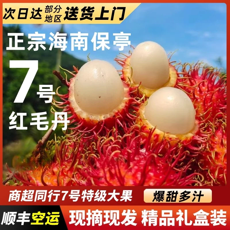 【现货速发】海南保亭红毛丹7号大果 新鲜海南高档水果毛荔枝顺丰