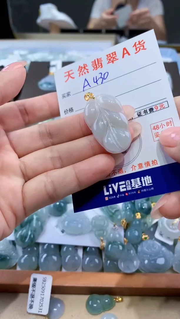 颈饰未镶嵌翡翠天然翡翠A货挂件