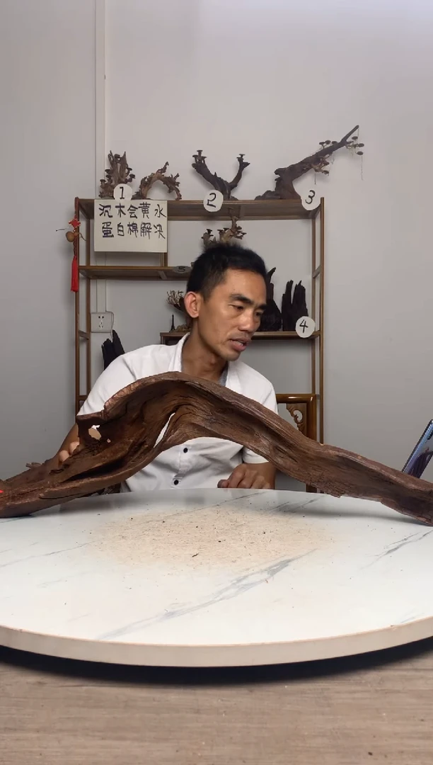 忠***士鱼缸造景沉木摆件