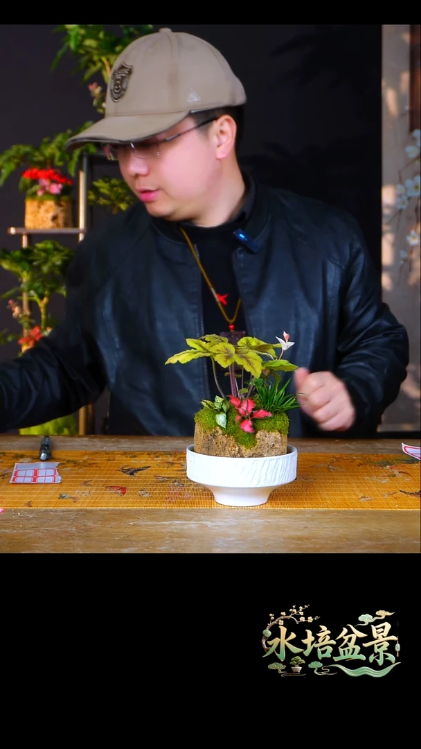 石云社一物一拍组合盆栽4