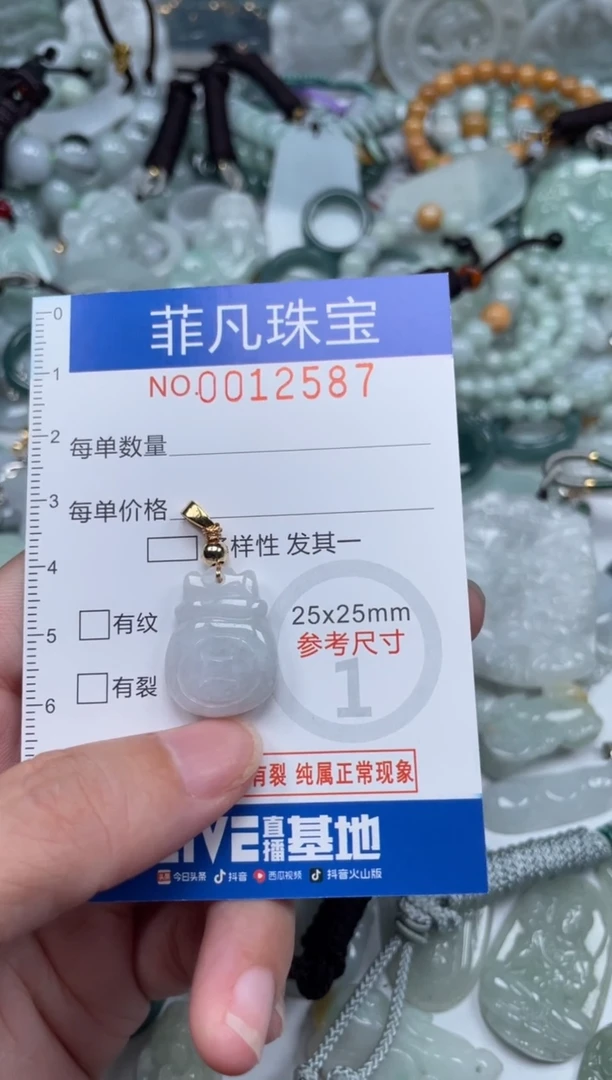 颈饰未镶嵌翡翠12587