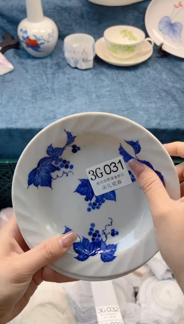 瓷片         3G031