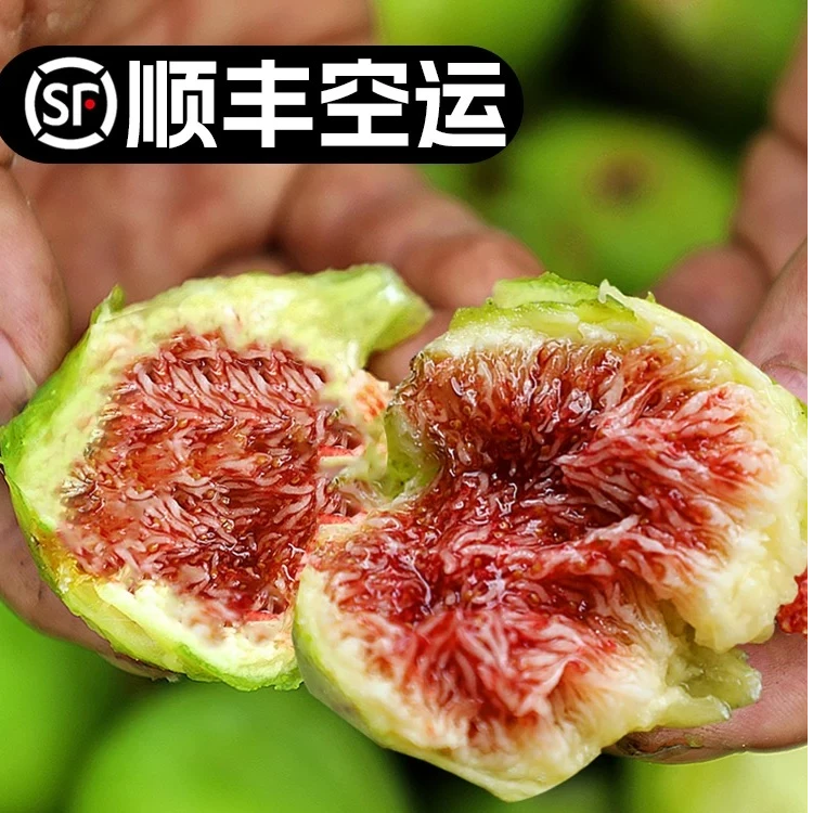 （顺丰空运）威海青皮无花果软糯香甜自然树熟新鲜当季水果
