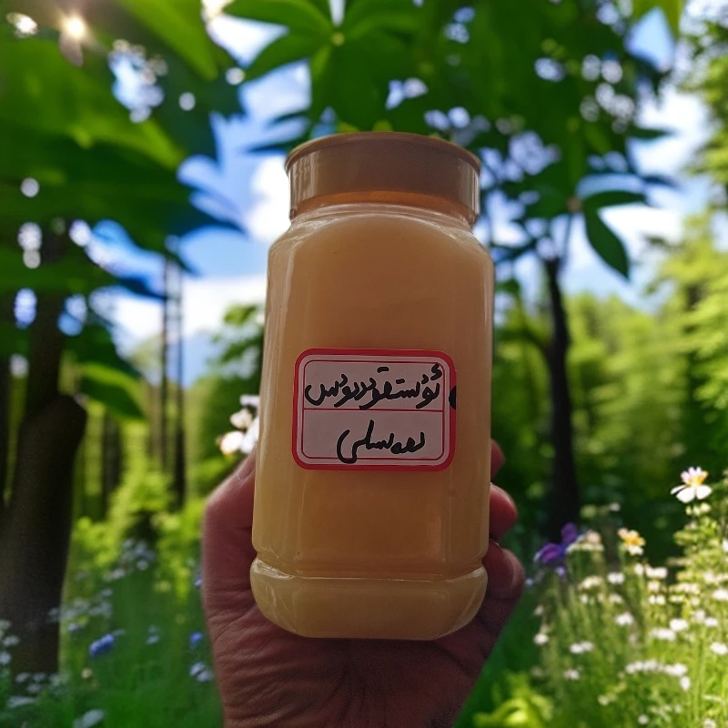 【努尔专属】ustkuddus hasliئۈستىقۇددۇس ھەسىلى果酱