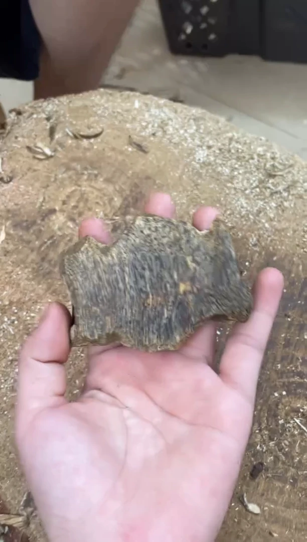 沉香碎屑沉香棋楠沉香 原料文创1