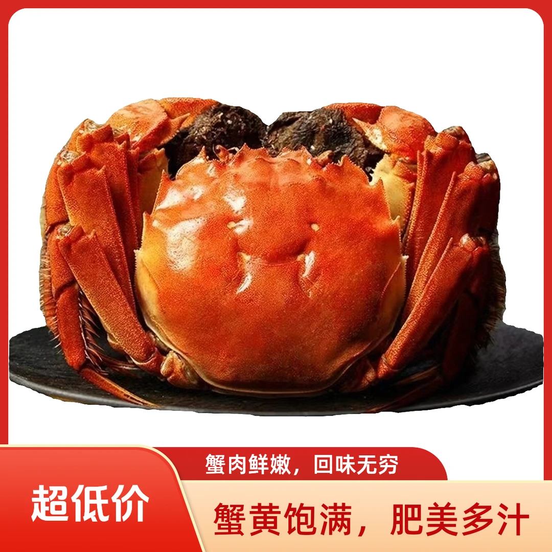 顺丰明天到【活蟹】江苏大闸蟹母蟹3两10只死蟹包赔如运输失水8%正常
