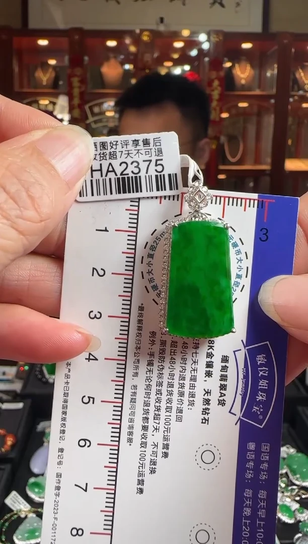 【闪购商品】翡翠颈饰18K金镶嵌HA2375 冰辣绿无事牌