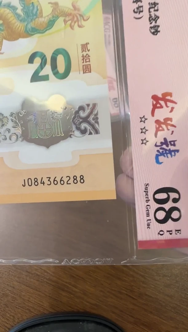【闪购商品】塑料24龙钞啊啊啊啊啊单张