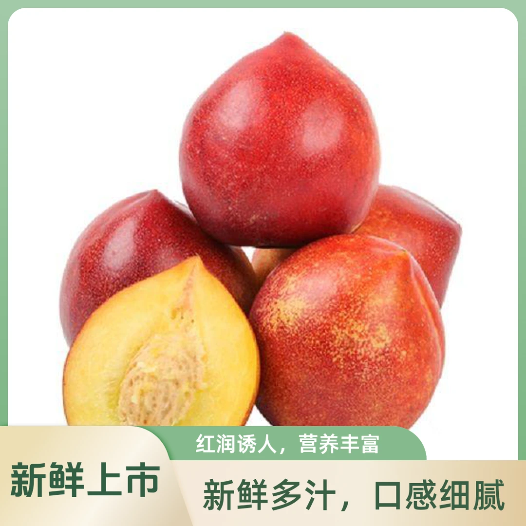 山东红油桃 -1斤装(约500g)山东省