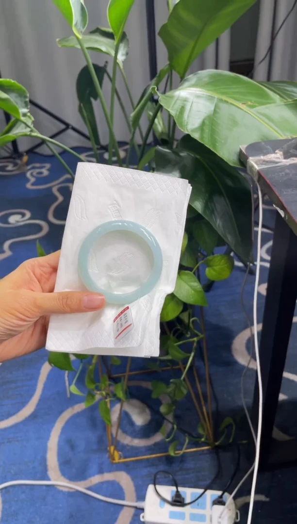 未镶嵌手镯翡翠4903****