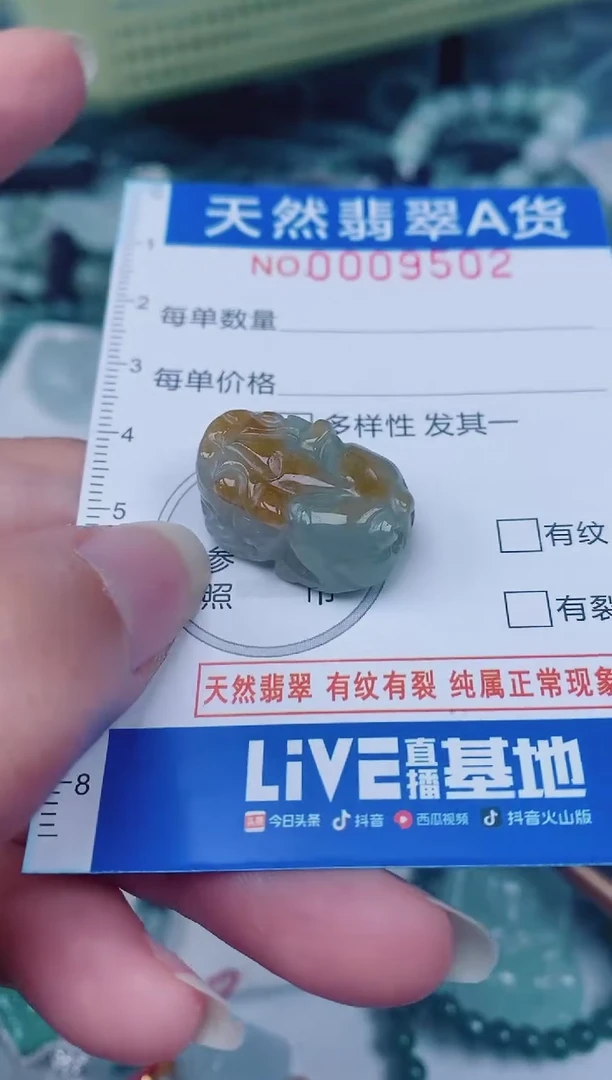 颈饰未镶嵌翡翠00009502
