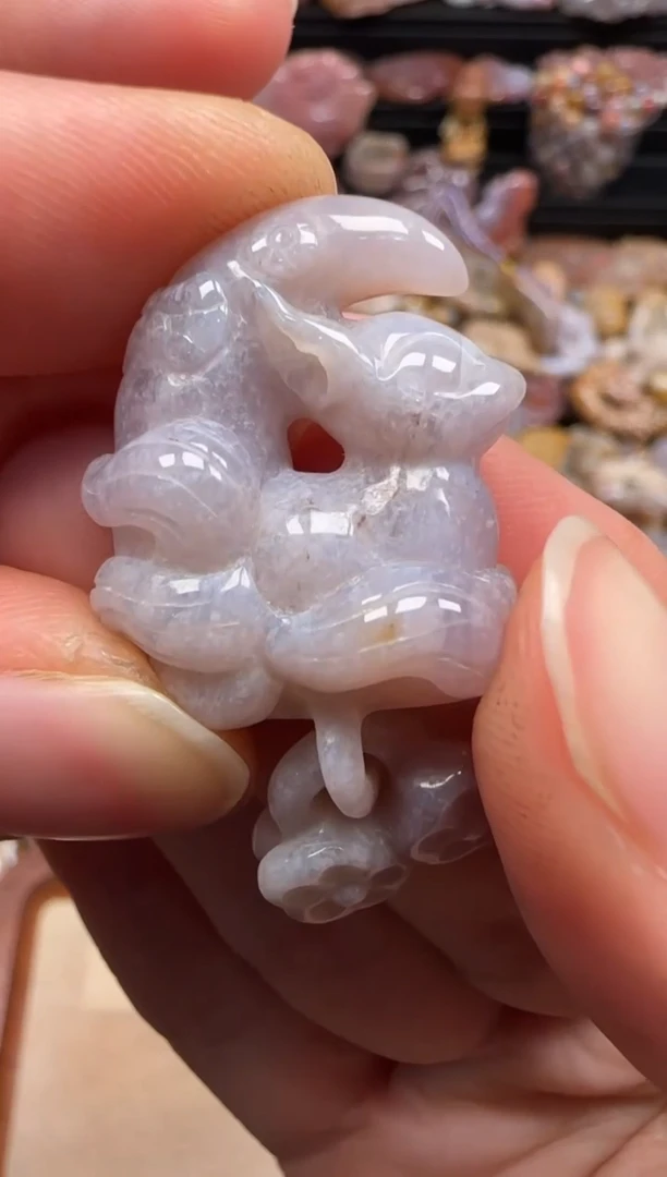 【闪购商品】硅化珊瑚（珊瑚玉）颈饰未镶嵌079