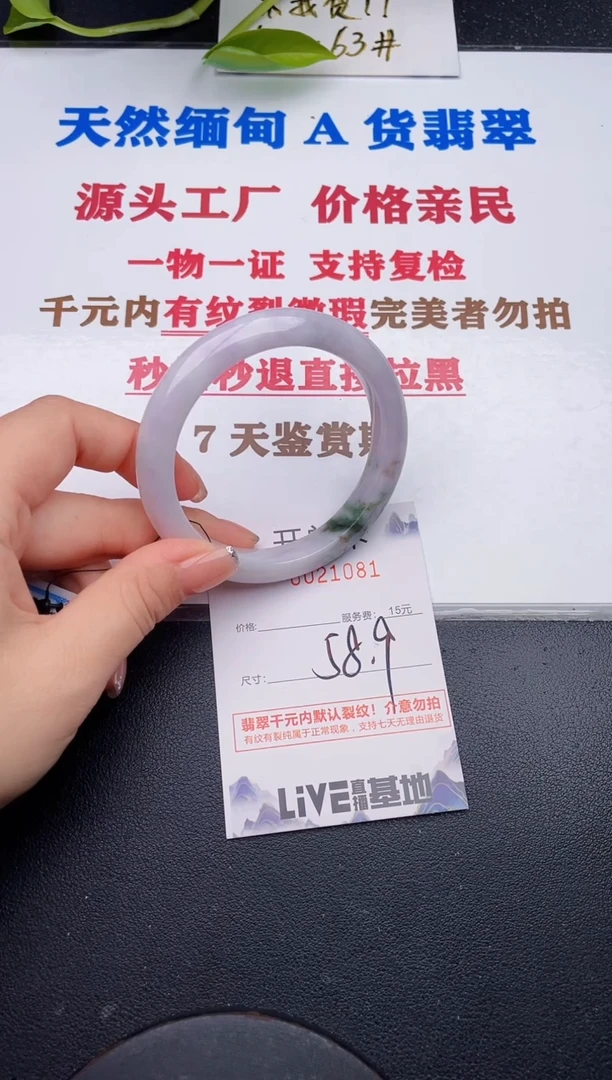 未镶嵌手镯翡翠81