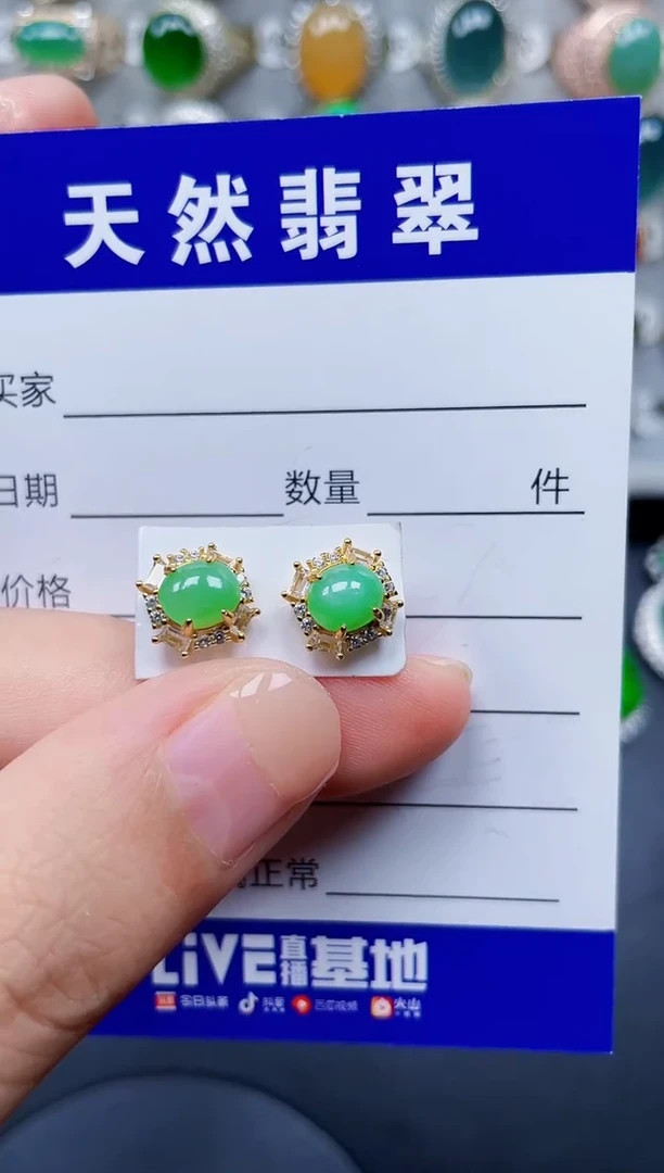 银S925镶嵌翡翠耳饰189