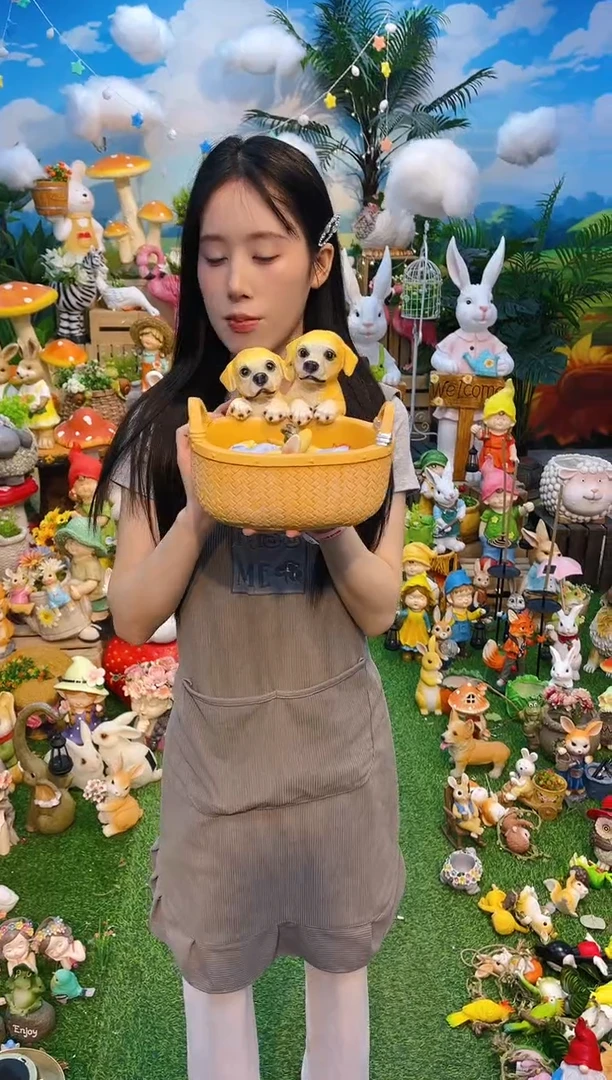 小狗收纳