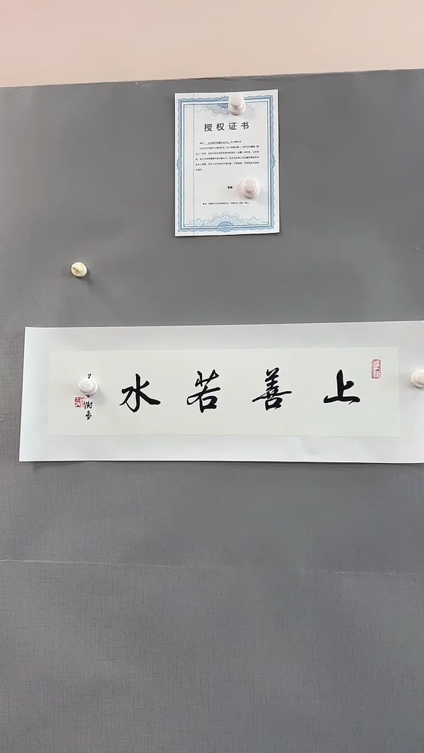 【闪购商品】书法雅艺典藏文化书法