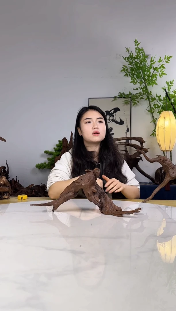 M*•拍沉木定向链接编号49