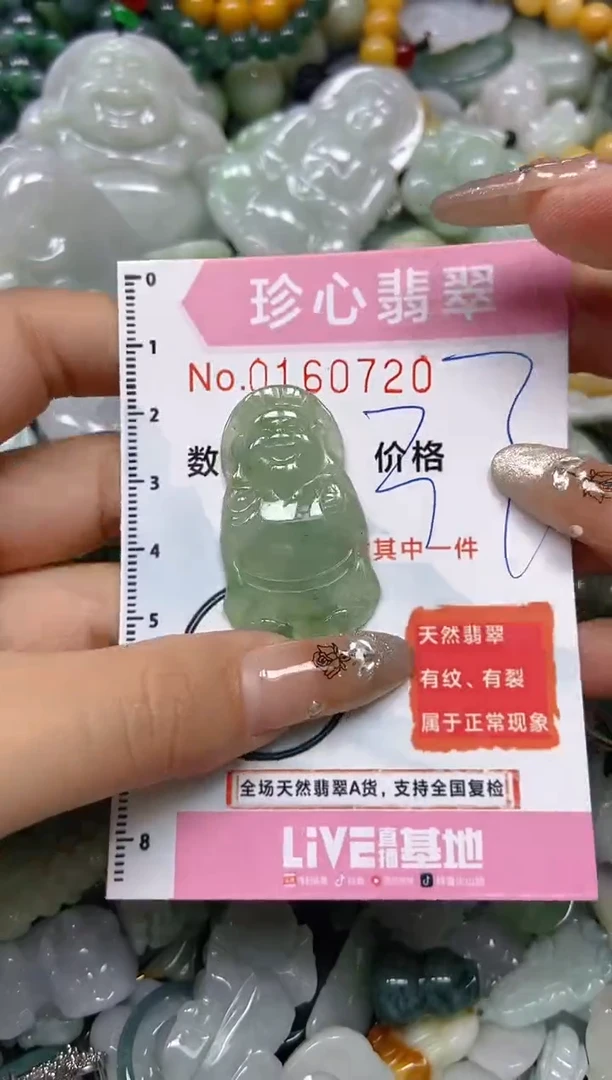 【闪购商品】翡翠颈饰未镶嵌闪购0160720